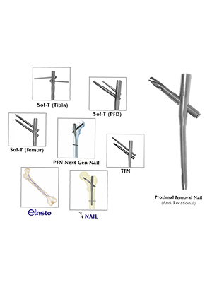 Intramedullary Nails & Screws